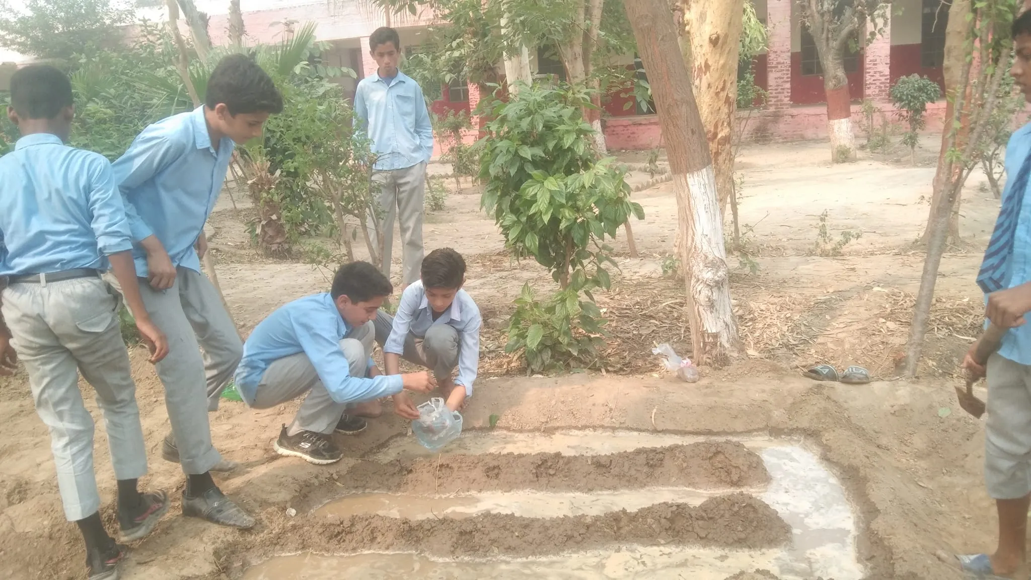 Green Seekers Activity